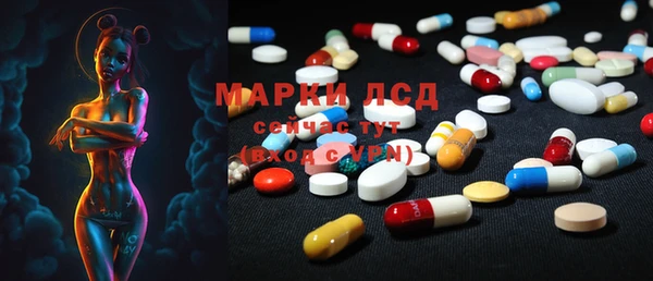 прущие грибы Алексеевка