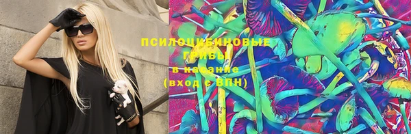 гидра Алзамай