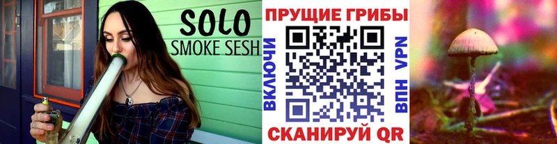 Галлюциногенные грибы Psilocybe  купить закладку  Жуков 